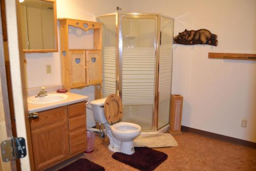 a bathroom with a toilet and a shower and a sink at All Seasons B&B in Kenai