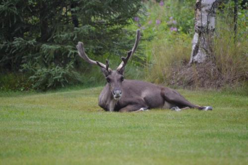 All Seasons B&B – Photos 4