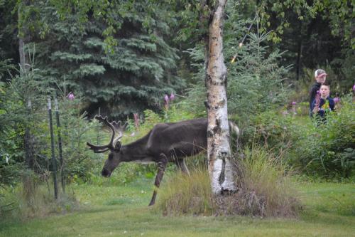 All Seasons B&B – Photos 3