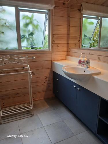 een badkamer met een wastafel en 2 ramen bij A Waihi Beach Getaway in Waihi Beach