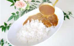 a white plate with rice and a tablespoon of sauce at Hotel Crown Hills Yuki in Yuki