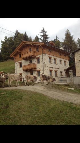 Clădirea în care este situat/ăapartamentul