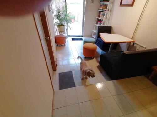 Et opholdsområde på Casagrande