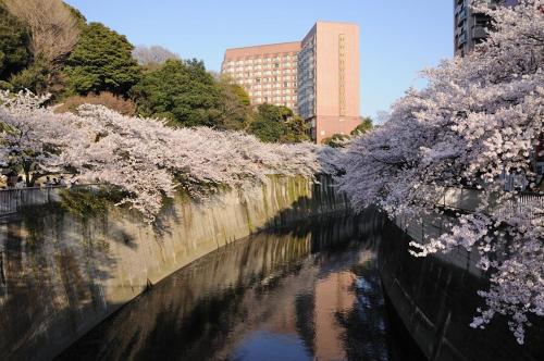 東京の中心地の新宿区で便利/2駅から徒歩6分/6名収容/無制限高速WIFI