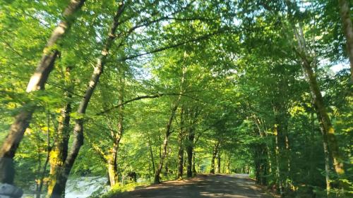 Paesaggio naturale nelle vicinanze dello chalet