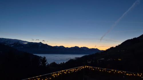 Modern Mountain View