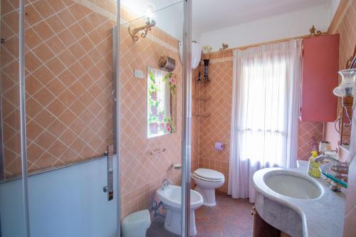 a bathroom with a toilet and a sink and a shower at S'Omu e Assunta in Cardedu