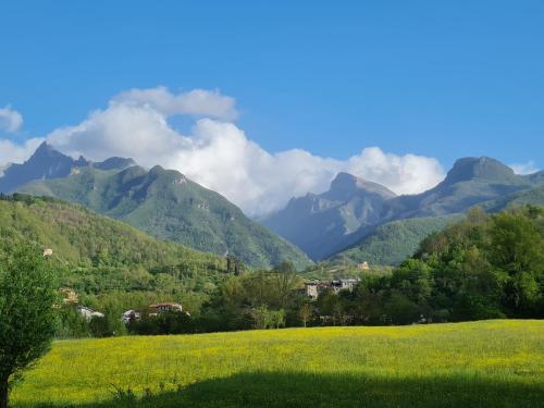 Naturlandskabet i nærheden af lejligheden