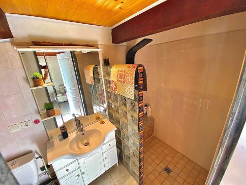 een badkamer met een wastafel en een douche bij loft, air conditioning, garden, optional jacuzzi, barbecue in Lunel