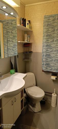 a bathroom with a toilet and a sink at Charles Country House in Solstad