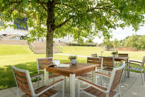 a wooden table and chairs under a tree at Schloss Seggau in Leibnitz