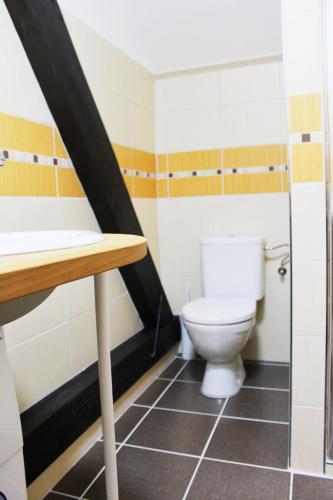 a bathroom with a toilet and a sink at Ubytování U Vojtěšky in Pasohlávky