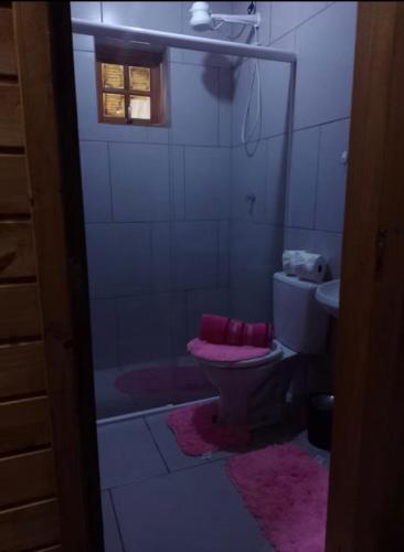 a bathroom with a toilet and a shower with a window at Cabanas paraíso pousadas in Bagé