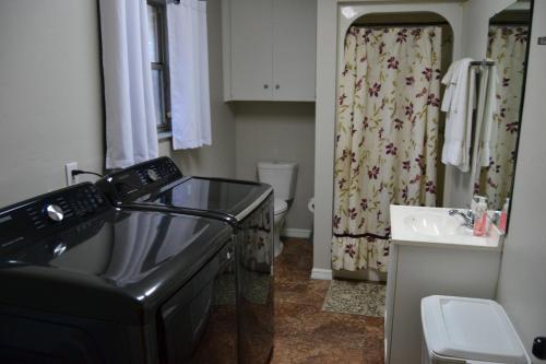 un piccolo bagno con lavandino e doccia di High Springs FL Hideaway a High Springs