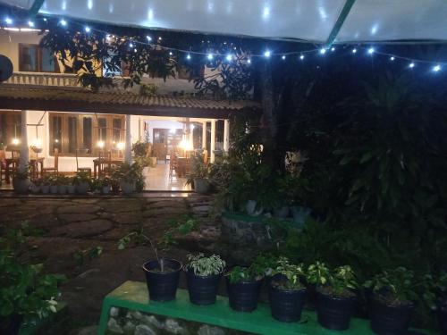 Zahrada ubytování Diyatalawa Mountain Holiday Resorts