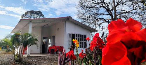 Afbeelding uit fotogalerij van El venado in Acacías