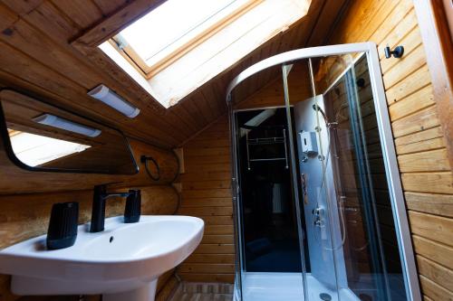un bagno con lavandino e doccia di Mocearu Retreat 