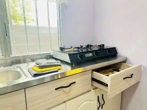 Billede fra billedgalleriet på EdenRose Home Apartment 1,2,3 n,4 i Haatso