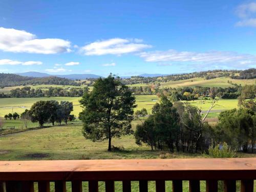 a view of a field with trees and a bench at Honeycomb Hill of Yarra Valley in Steels Creek