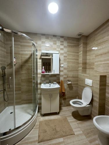 波德戈里察Kropa apartman的浴室里有马桶、洗手池和淋浴。