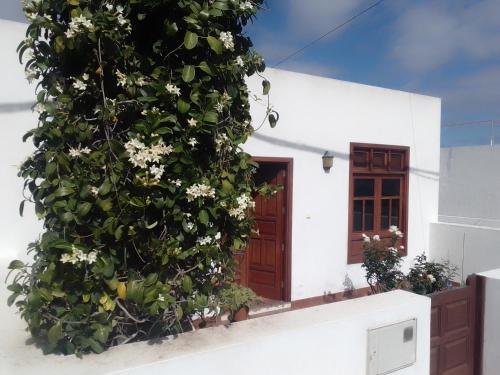 a white house with a plant with white flowers at Casa Jasmin Haria in Haría