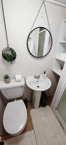 a bathroom with a toilet and a sink and a mirror at Dancing Seagulls Caravan in Clacton-on-Sea