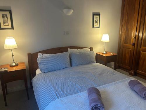 een slaapkamer met een bed en twee lampen op tafels bij Temple Bar Loft in Dublin