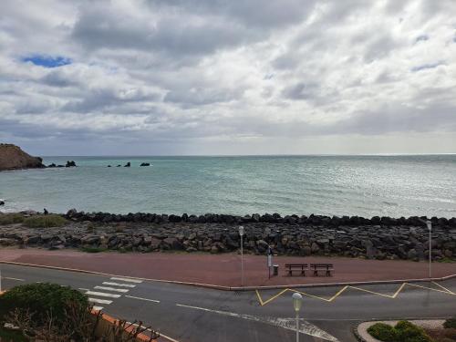 Le Pêcherie, T3 superbe vue mer, parking, clim, wifi photo 34