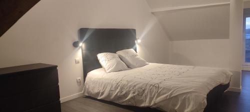 een slaapkamer met een wit bed met 2 kussens bij Gîte L'hôtellerie in Trévron