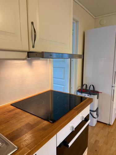 Køkken eller tekøkken på A pearl in Lofoten