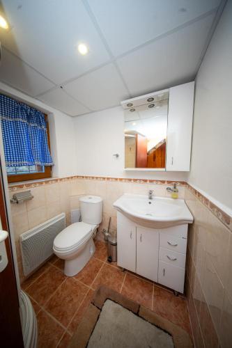 a bathroom with a toilet and a sink and a mirror at Chalupa SKI Jezersko in Vígľaš