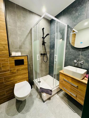 a bathroom with a shower and a toilet and a sink at Zajazd Piękna Góra in Gołdap