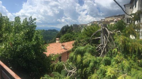 a town on a hill with trees and buildings at Il Gatto Nero in Coreglia Antelminelli