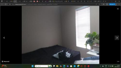 een kamer met een raam en een kat die op een bed ligt bij KINGSLEY Green in Gqeberha