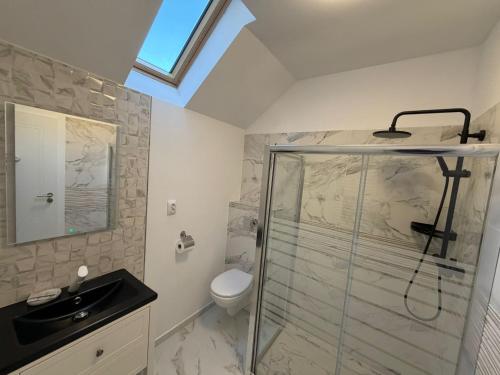 a bathroom with a shower and a toilet and a sink at Casa Criss in Sinaia