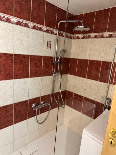 eine Dusche im Bad mit braunen und weißen Fliesen in der Unterkunft Wellness -Residenz Ehrhardt Urlaub mit Pool und Garten Ferienwohnung in Halberstadt in Halberstadt