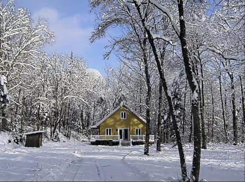 a small yellow house in the snow with trees at Chalet de la Roche Plate in Saint-Raymond