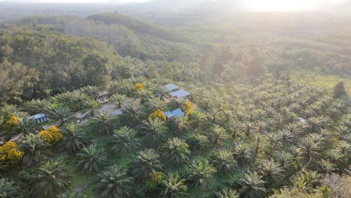 Por Sampao Camp&Resort