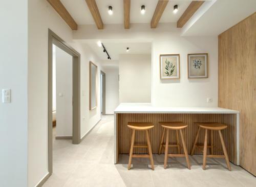 Luxury Downtown Apartment A2