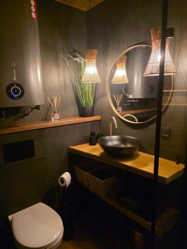 een badkamer met een wastafel en een spiegel en een toilet bij Tähetee Majake in Palometsa