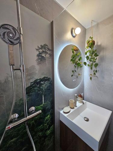 een badkamer met douche, wastafel en spiegel bij Gîte "Bornéo", avec parking securisé in La Roche-sur-Yon