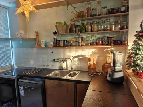 une cuisine avec un arbre de Noël et un évier dans l'établissement Cricri, à Lelystad