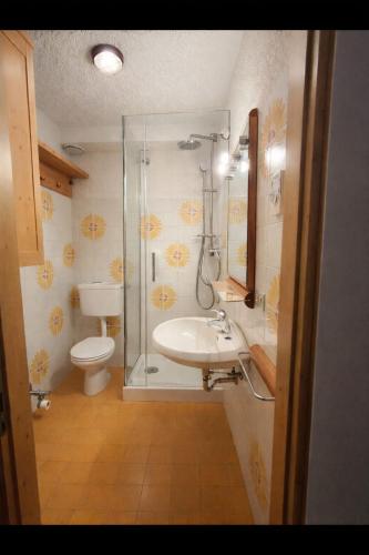 a bathroom with a shower and a sink and a toilet at Lo Gnomo Apartment in Marilleva