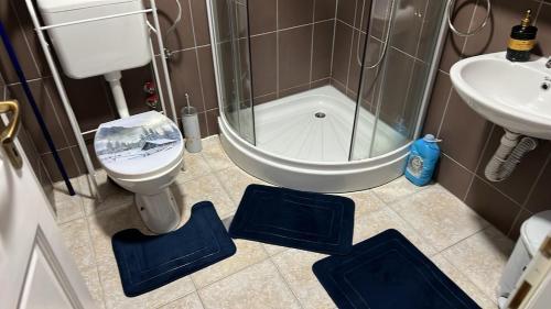a bathroom with a shower and a toilet and a sink at Apartman Vlašić Hary in Vlasic