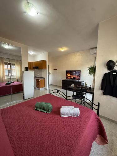 Residenza Anagnina