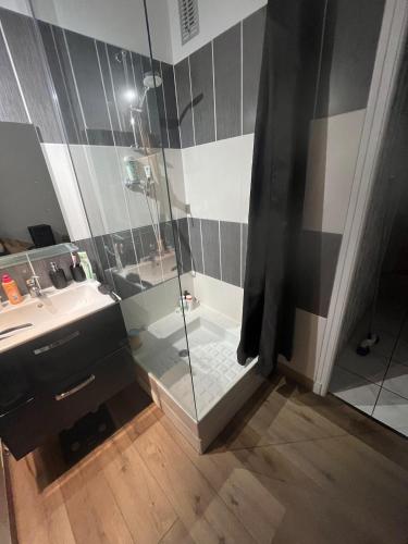 een badkamer met een douche en een wastafel bij Appartement Troyes in Troyes