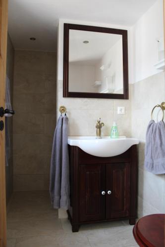 a bathroom with a sink and a mirror at Schöne Ecke 13 in Wernigerode