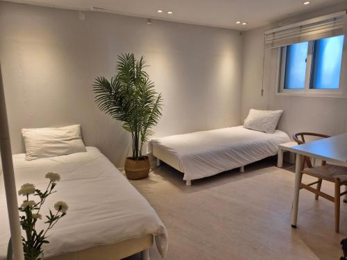 una camera con due letti e una pianta in vaso di Goyo Stay a Uijeongbu