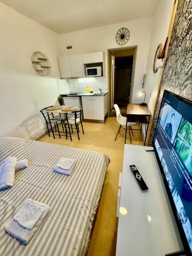 Kuchyň nebo kuchyňský kout v ubytování Hyper Centre de Valence - Studio 41