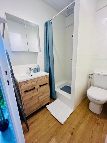 a bathroom with a toilet and a shower and a sink at Studio centre ville in Concarneau